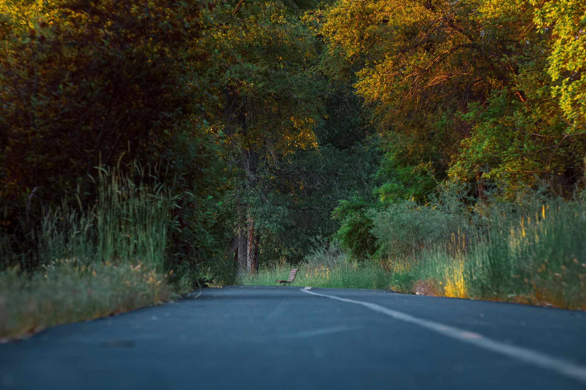 JRCTrailCleanup1080-0033