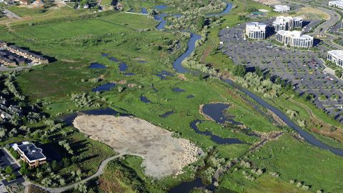 #3 GSLA Jordan River Migratory Bird Reserve