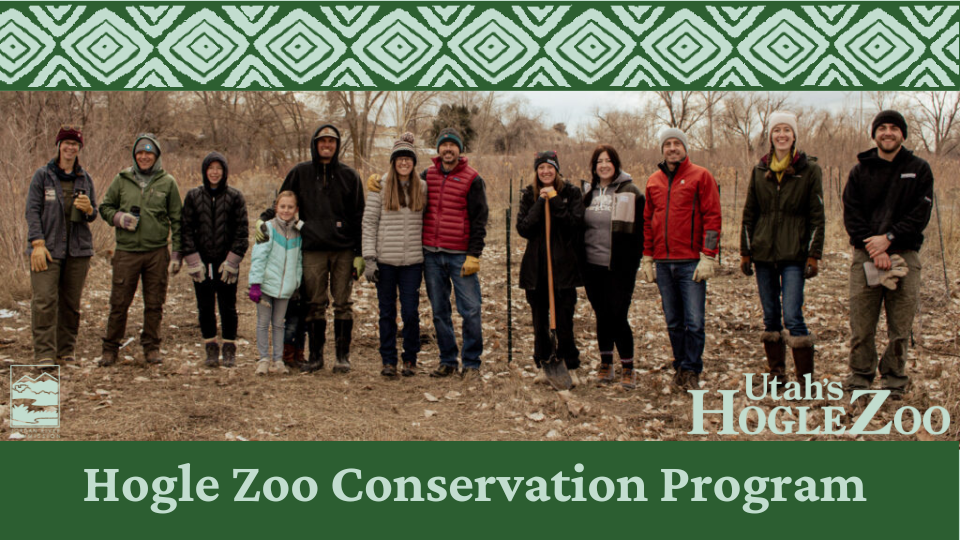 Hogle-Zoo-Conservation-Program-3-1