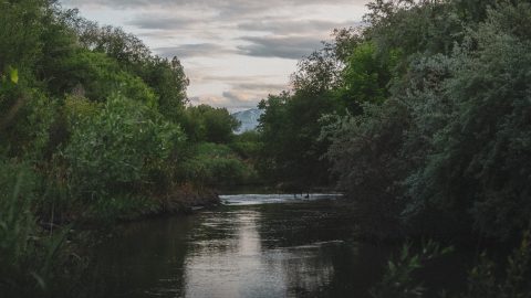 JRCTrailCleanup1080-0031